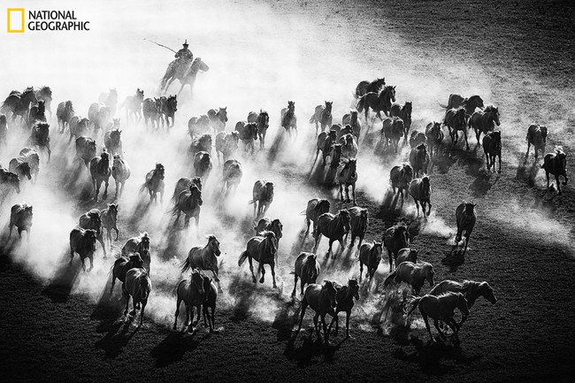 Những bức ảnh đẹp ngỡ ngàng về thế giới tự nhiên trong cuộc thi của Tạp chí National Geographic - Ảnh 5.