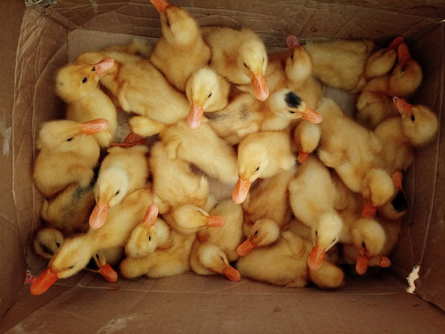 Chu du khắp nơi với m&agrave;u cam - sắc m&agrave;u khiến bức tranh du lịch trở n&ecirc;n rực rỡ hơn bao giờ hết! - Ảnh 35.