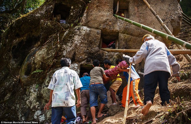 Rợn t&oacute;c g&aacute;y với nghi lễ đ&agrave;o mộ v&agrave; mặc quần &aacute;o mới cho người chết tại Indonesia - Ảnh 5.