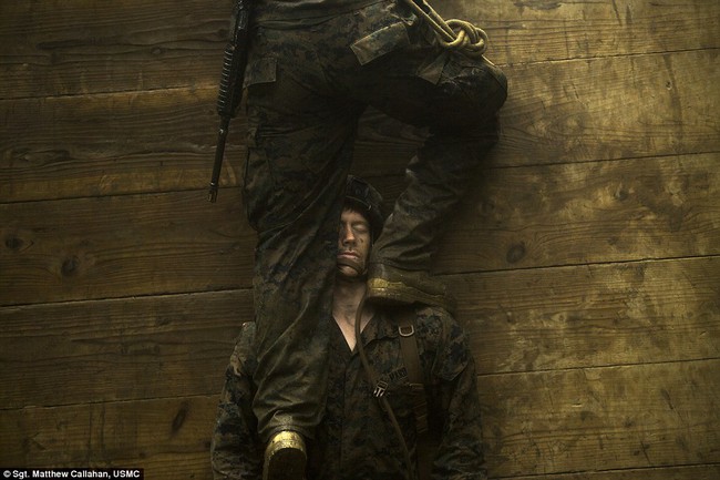 Những bức h&igrave;nh ấn tượng của giải thưởng nhiếp ảnh qu&acirc;n đội Mỹ 2015 - Ảnh 6.