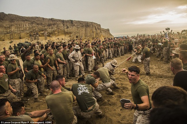 Những bức hình ấn tượng của giải thưởng nhiếp ảnh quân đội Mỹ 2015 - Ảnh 3.