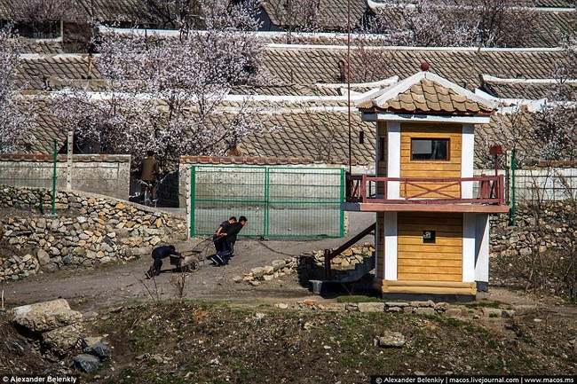 Những hình ảnh mới nhất về cuộc sống của người dân Triều Tiên - Ảnh 8.