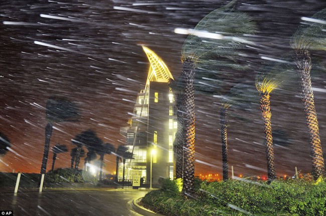 Khung cảnh tan hoang của bang Florida, Mỹ sau khi bão Matthew đổ bộ - Ảnh 2.