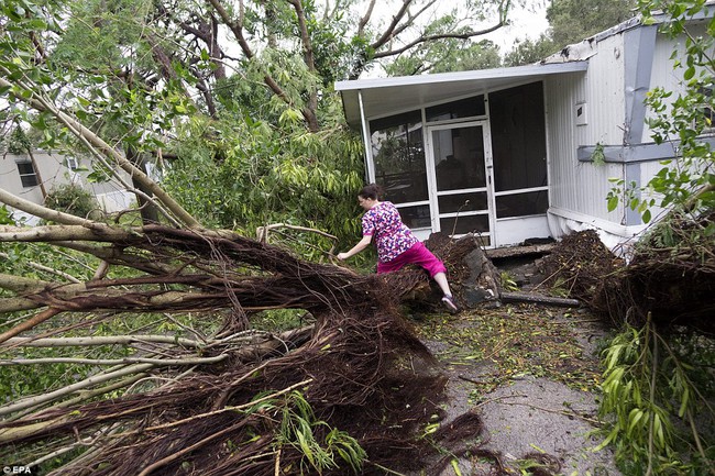 Khung cảnh tan hoang của bang Florida, Mỹ sau khi bão Matthew đổ bộ - Ảnh 5.