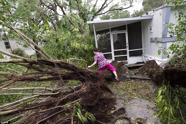Khung cảnh tan hoang của bang Florida, Mỹ sau khi b&atilde;o Matthew đổ bộ - Ảnh 5.