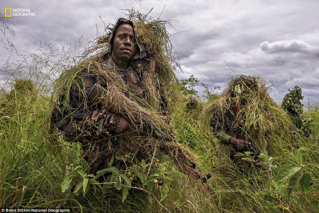 Top 10 bức ảnh đẹp nhất của National Geographic trong năm 2016 - Ảnh 15.