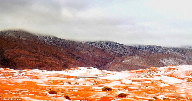 Lần thứ 2 trong lịch sử, sa mạc Sahara c&oacute; tuyết rơi! - Ảnh 7.