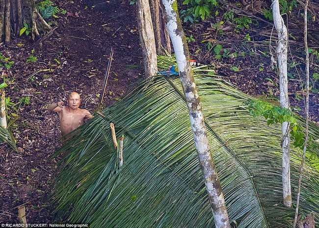 Những hình ảnh về bộ lạc sống trong rừng rậm Amazon như tổ tiên của mình cách đây 20.000 năm - Ảnh 3.