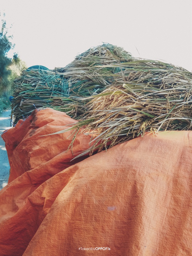 Chu du khắp nơi với m&agrave;u cam - sắc m&agrave;u khiến bức tranh du lịch trở n&ecirc;n rực rỡ hơn bao giờ hết! - Ảnh 8.