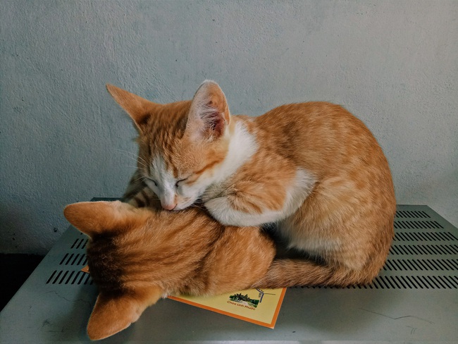 Chu du khắp nơi với m&agrave;u cam - sắc m&agrave;u khiến bức tranh du lịch trở n&ecirc;n rực rỡ hơn bao giờ hết! - Ảnh 29.