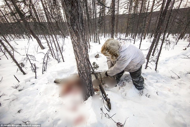 Theo chân những người thợ săn ở Siberia đi lột da chó sói - Ảnh 3.