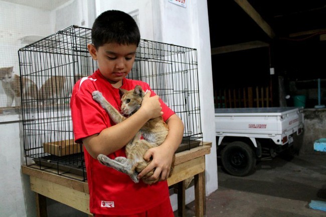Cậu b&eacute; t&igrave;m thấy 6 ch&uacute; chuột lớn sau nh&agrave; thờ, 1 năm sau điều bất ngờ đ&atilde; xảy ra - Ảnh 4.