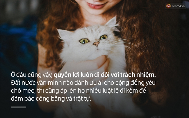 Chuyện trẻ con và chó ở phố đi bộ: Ai cũng yêu con mình, thế giới hòa bình đâu ra? - Ảnh 4.