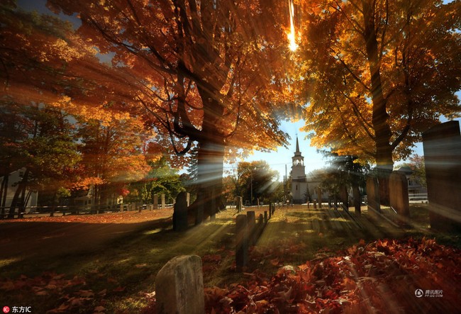 Những bức ảnh thiên nhiên tuyệt đẹp sẽ khiến bạn cảm thấy yêu mùa thu hơn bao giờ hết - Ảnh 5.