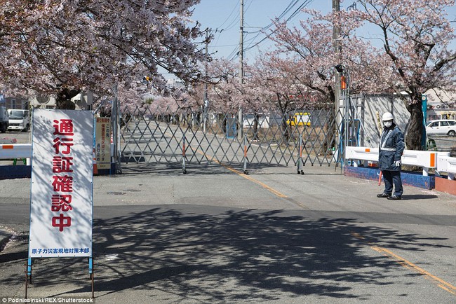 Chùm ảnh: Những bức hình ám ảnh về thị trấn ma sau thảm họa nhà máy hạt nhân Fukushima, Nhật Bản 2011 - Ảnh 5.