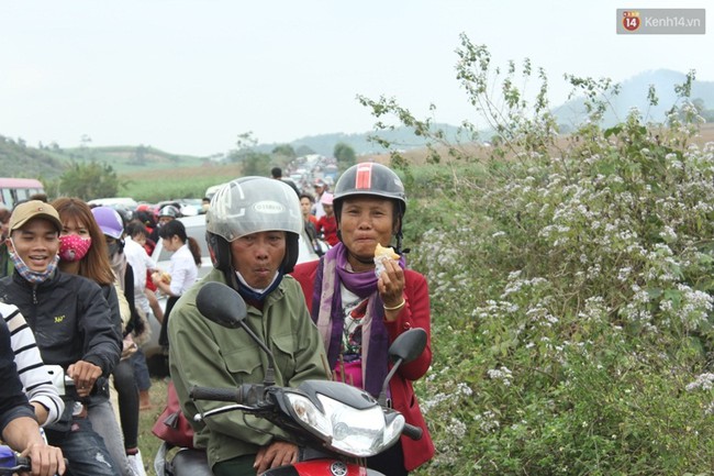 H&agrave;ng vạn người đổ về c&aacute;nh đồng hoa hướng dương: Từng đo&agrave;n xe nối d&agrave;i cả c&acirc;y số, di chuyển từng ch&uacute;t một - Ảnh 8.
