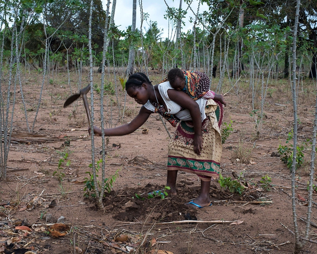 Nghề quan hệ với trẻ em tại Malawi - hủ tục quá sai về đạo đức - Ảnh 4.