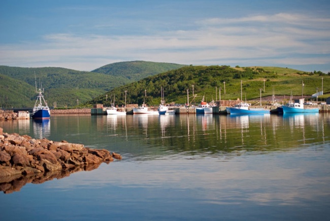 Một ngôi làng ở Canada sẵn sàng chia đất và cấp việc làm cho những ai muốn đến sống - Ảnh 4.