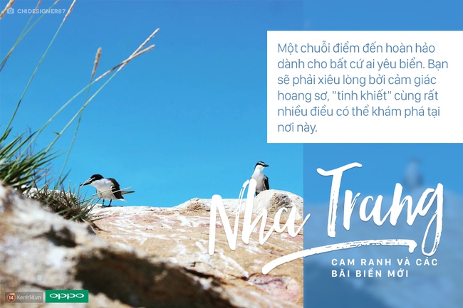 20 địa điểm n&agrave;o của v&ograve;ng 3 Here We Go đang chờ c&aacute;c đội thi kh&aacute;m ph&aacute; v&agrave; trải nghiệm? - Ảnh 4.