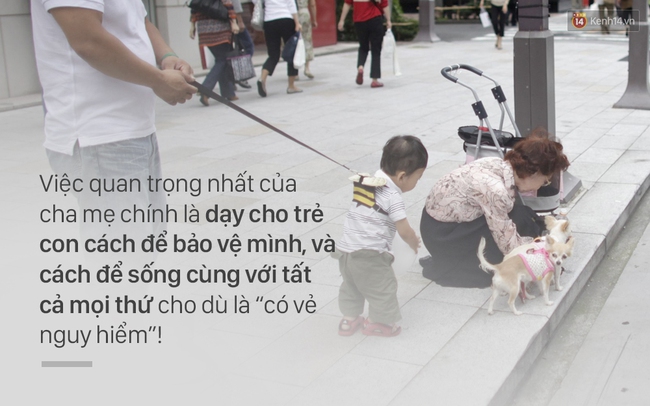 Chuyện trẻ con và chó ở phố đi bộ: Ai cũng yêu con mình, thế giới hòa bình đâu ra? - Ảnh 7.