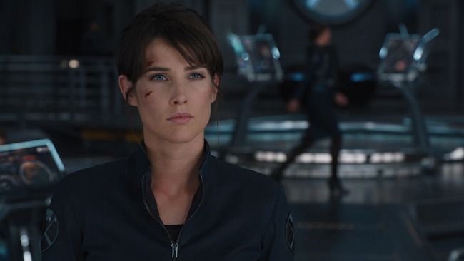 Cobie Smulders - Hành trình từ bà dì quốc dân cho tới trợ tá của các siêu anh hùng - Ảnh 8.