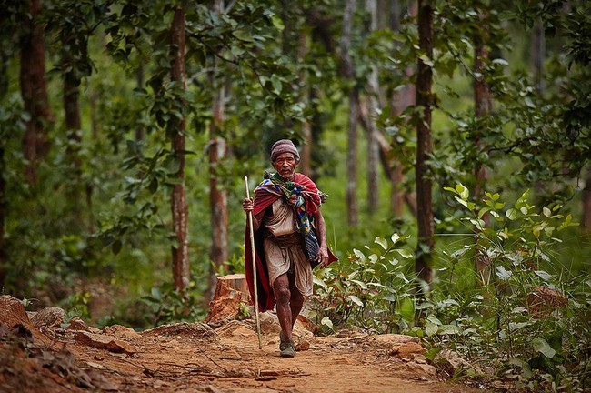 Chùm ảnh: cuộc sống của bộ lạc du mục cuối cùng tại Nepal - Ảnh 3.