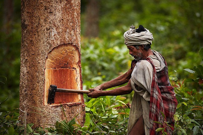 Chùm ảnh: cuộc sống của bộ lạc du mục cuối cùng tại Nepal - Ảnh 8.