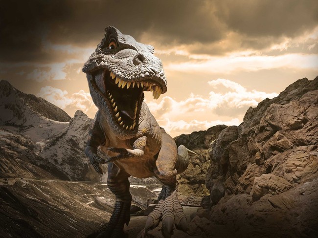 Tránh ra nào khủng long! 66 triệu năm trước các loài thú mới là ông chủ của quả đất này - Ảnh 1.