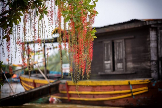 C&oacute; một Hội An l&atilde;ng mạn như thế n&agrave;y đ&acirc;y trong m&ugrave;a nước lũ - Ảnh 2.