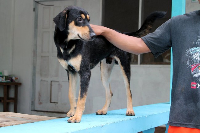 Cậu b&eacute; t&igrave;m thấy 6 ch&uacute; chuột lớn sau nh&agrave; thờ, 1 năm sau điều bất ngờ đ&atilde; xảy ra - Ảnh 12.