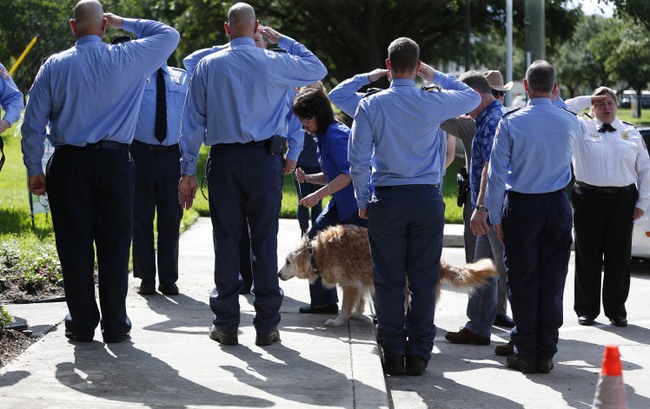 Vĩnh biệt chú chó anh hùng cuối cùng trong thảm họa 11/9 kinh hoàng của nước Mỹ - Ảnh 2.