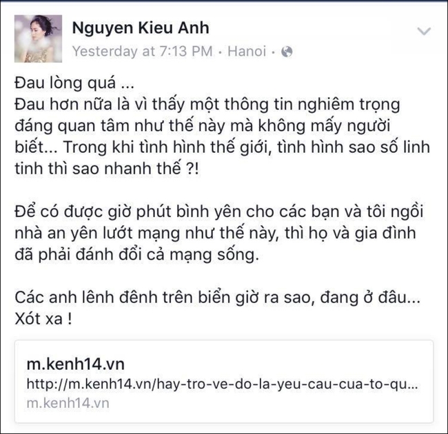 Sao Việt bày tỏ sự bàng hoàng, tiếc thương đến tai nạn máy bay CASA-212 - Ảnh 9.