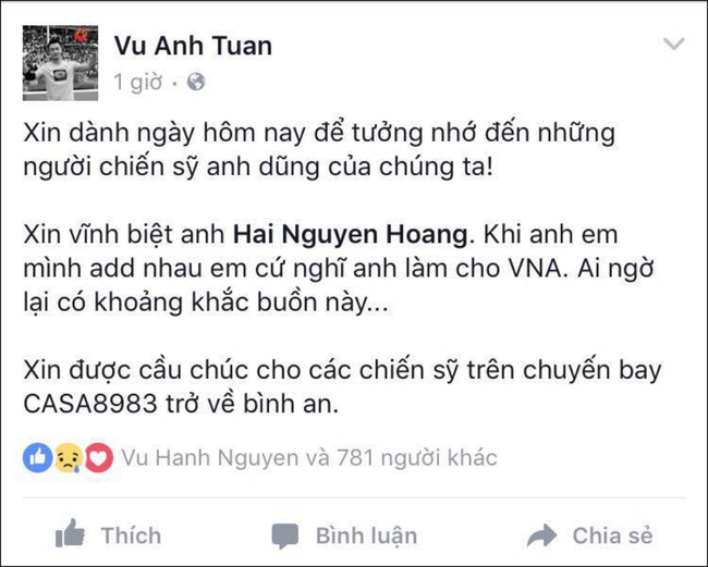 Sao Việt bày tỏ sự bàng hoàng, tiếc thương đến tai nạn máy bay CASA-212 - Ảnh 4.