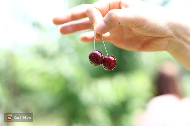 Từng hoang tàn sau trận động đất và sóng thần, vùng đất này đang trở thành điểm du lịch tuyệt đẹp của Nhật Bản - Ảnh 21.