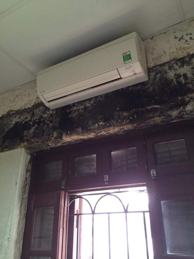 Ph&ograve;ng dịch vụ 1,2 triệu tường mốc meo, &ldquo;bẩn hơn nh&agrave; vệ sinh&rdquo; ở bệnh viện, người d&acirc;n viết thư gửi bộ Y tế - Ảnh 2.