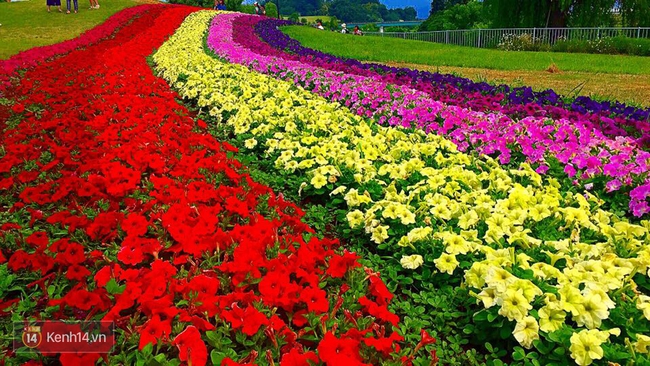 Từng hoang t&agrave;n sau trận động đất v&agrave; s&oacute;ng thần, v&ugrave;ng đất n&agrave;y đang trở th&agrave;nh điểm du lịch tuyệt đẹp của Nhật Bản - Ảnh 23.