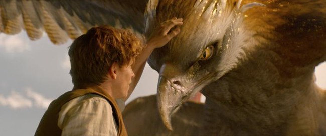 Fantastic Beasts and Where to Find Them &ndash; Chuyến t&agrave;u trở về với thế giới ph&ugrave; thủy đầy m&agrave;u sắc - Ảnh 4.