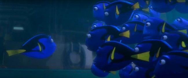 Finding Dory tung trailer cuối c&ugrave;ng si&ecirc;u dễ thương v&agrave; h&agrave;i hước - Ảnh 6.