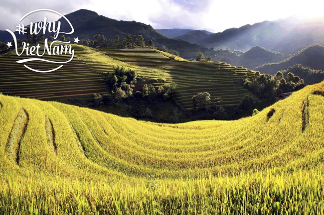 Bạn đã sẵn sàng trở thành Đại sứ du lịch với #WhyVietnam chưa? - Ảnh 2.