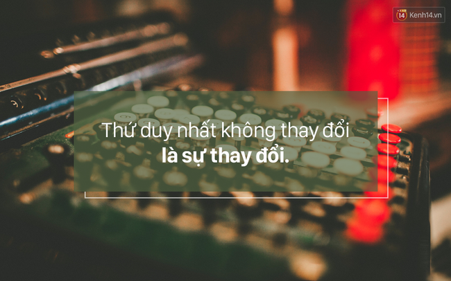 20 nghịch l&yacute; cuộc sống chứng minh rằng tr&ecirc;n đời n&agrave;y chuyện g&igrave; cũng c&oacute; thể xảy ra được - Ảnh 3.