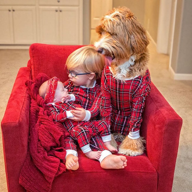 Bé trai và bạn cún cưng chuyên mặc đồ đôi cùng nhau - Ảnh 3.