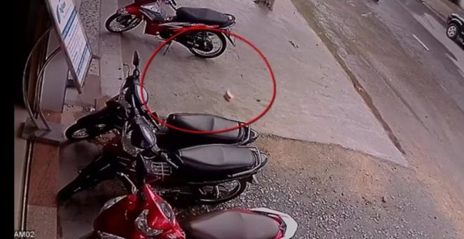 Chủ tủ b&aacute;nh m&igrave; từ thiện n&oacute;i g&igrave; về clip vứt b&aacute;nh m&igrave; khi được nhắc mỗi người chỉ lấy 1 ổ? - Ảnh 3.