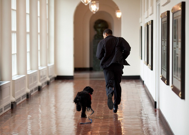 Nhiếp ảnh gia Nhà Trắng chụp 2 triệu bức ảnh Tổng thống Obama trong 8 năm - Ảnh 5.