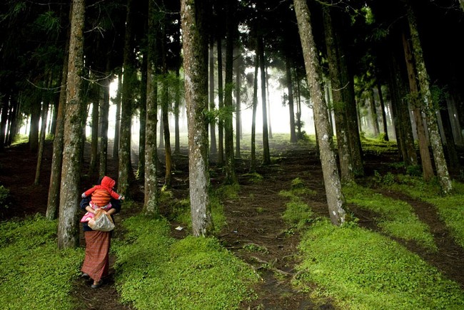 Bài diễn thuyết gây chấn động của thủ tướng Bhutan - quốc gia hạnh phúc nhất thế giới - Ảnh 5.