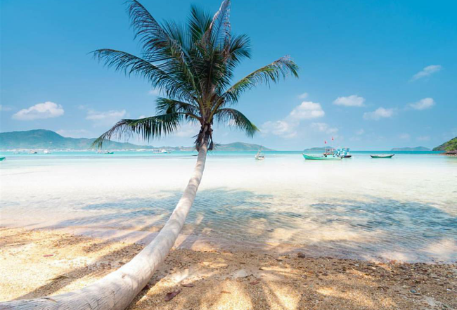 Cần chi đi đâu xa, ở Việt Nam cũng có những vùng biển đẹp không thua gì Maldives! - Ảnh 41.