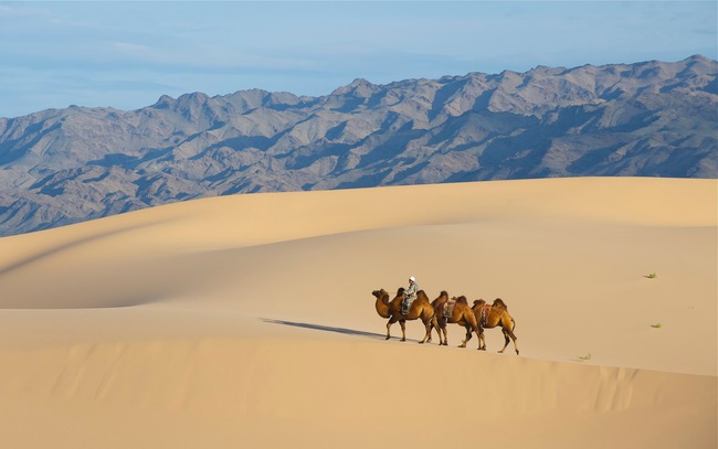 Cùng nhau vượt qua 124km chạy bộ trên sa mạc, cô chó đi lạc đã tìm được chủ mới cho mình - Ảnh 1.