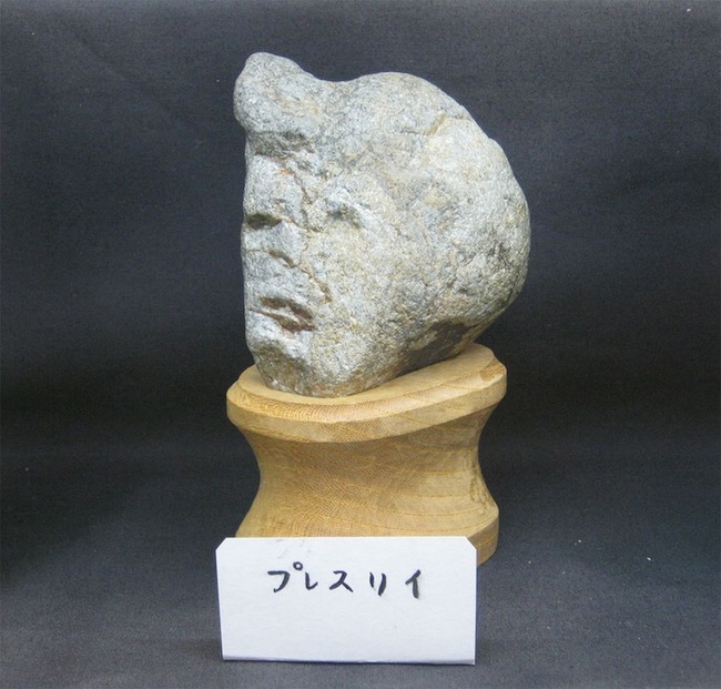 Đến Nhật Bản mà không tới bảo tàng trưng bày đá mặt người thì thật là phí - Ảnh 4.