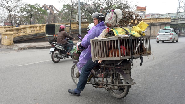 Hà Nội ngạt thở vì ô nhiễm không khí - Ảnh 10.