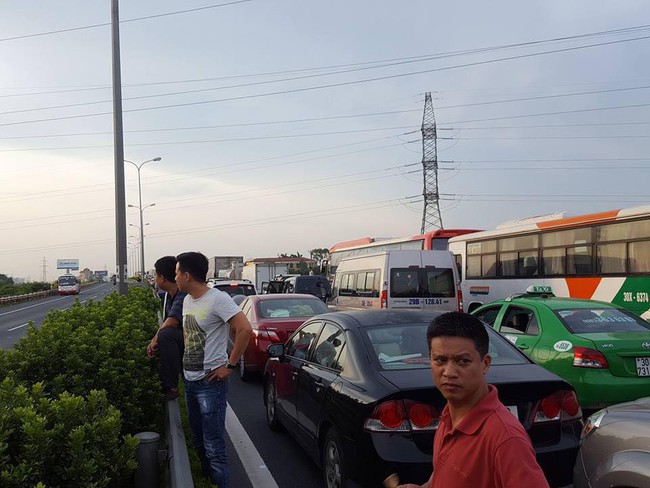 H&agrave; Nội: Xe tải chở tr&acirc;u va chạm xe kh&aacute;ch, h&agrave;ng chục con tr&acirc;u &ldquo;đại n&aacute;o&rdquo; cao tốc - Ảnh 2.
