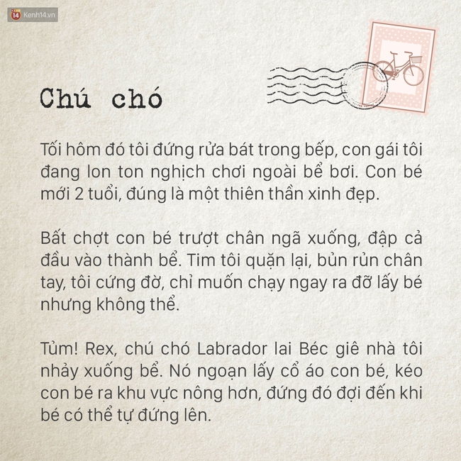 Những mẩu truyện chỉ đọc 5s nhưng cũng đủ khiến vui cả 1 phút dài - Ảnh 6.